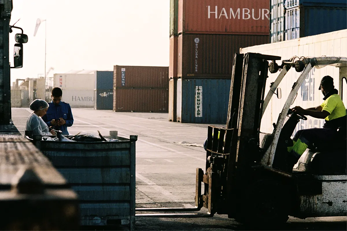 Forklift operator moving cargo beside stacked shipping containers at a port while two workers inspect a delivery